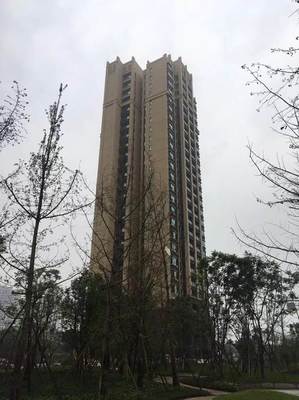 四川恒陽(yáng)房地產(chǎn)開發(fā)集團(tuán)